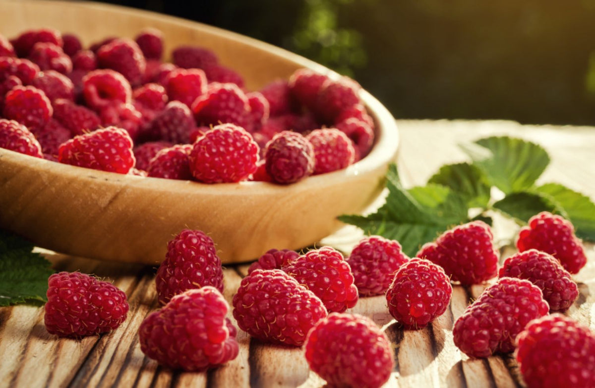 La framboise pour bébé : bienfaits et conseils
